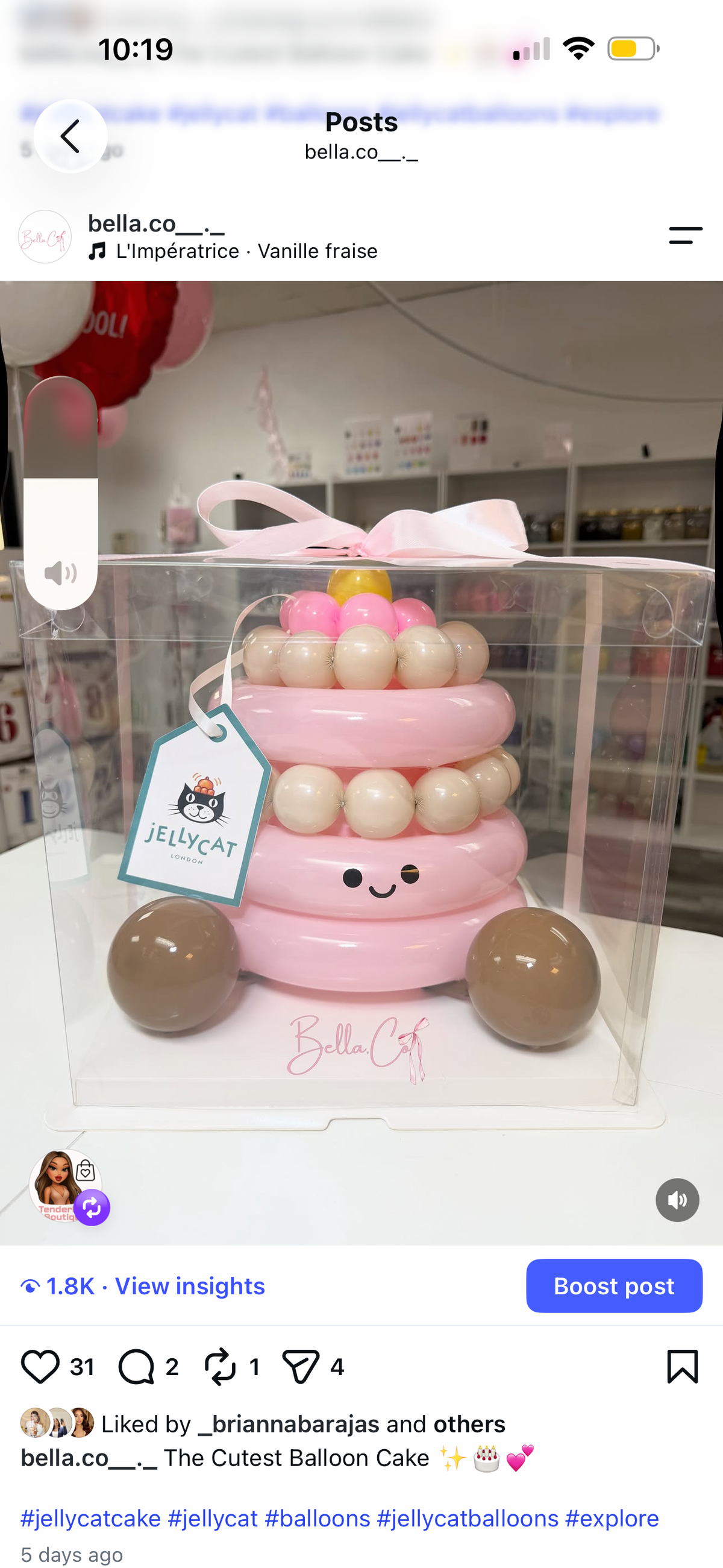 Jelly Cat Cake