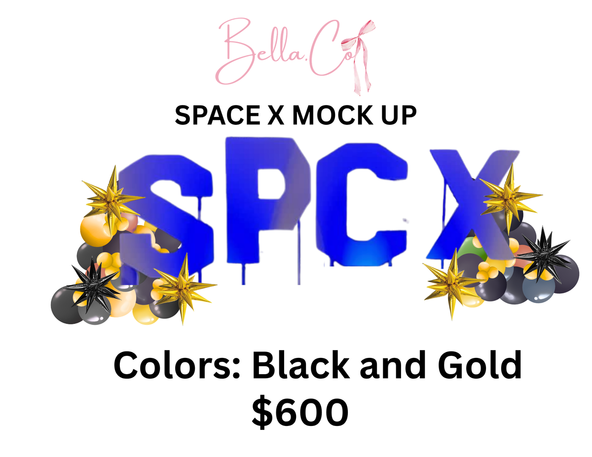 Space X June 12